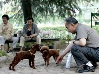 Shanghai establishes one dog only policy. 44387.jpeg