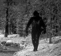 Bigfoot Appeared after Experiments to Cross Apes with Humans
