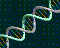 DNA: the God particle (part I)