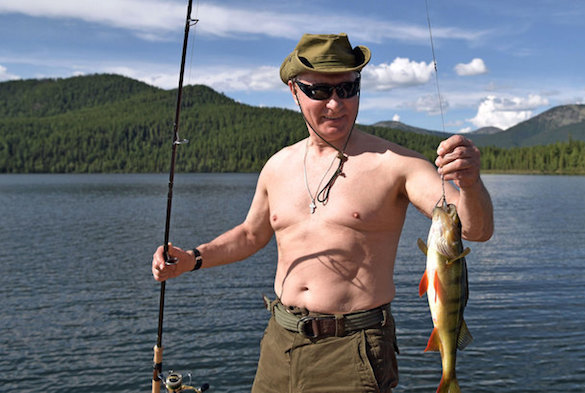 Putin's torso drives America crazy. 61002.jpeg