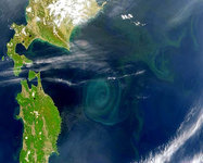 Giant ocean whirlpools puzzle scientists. 44010.jpeg