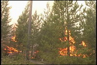 Crews take efforts to halt fast-moving wildfire