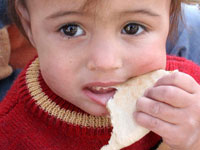U.N. food agency to double aid to Iraqi refugees