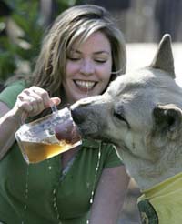 Pet shop owner creates beer for dogs