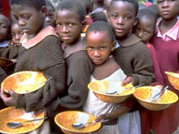 Bureaucracy not to let UN food agency survive