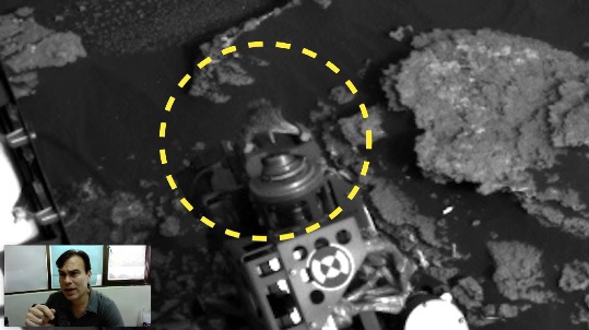 Curiosity rover finds live lizard on Mars? Video. 60041.jpeg