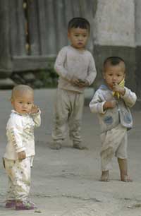Chinese government partly to blame for problem of too many boys
