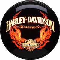 Harley-Davidson sales may fall