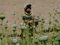 “Death to America” Fury at NATO Massacre in Kandahar