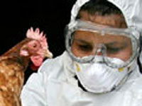 Young Egyptian woman falls victim to H5N1 virus