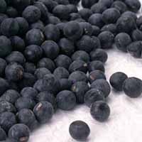 Black soya beans lower fat and prevent diabetes