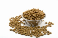 Health officials link outbreak of Salmonella infection to dry dog food