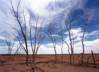 Changing climate brings drought in U.S.