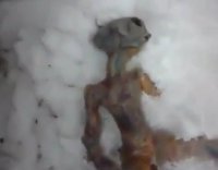 Dead Siberian alien appears to be fake?. 44104.jpeg