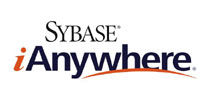 Sandell Asset Management to appoint Sybase directors