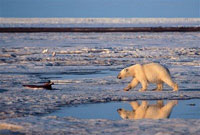 Russia takes decisive measures to win 580 billion barrels of oil in Barents Sea