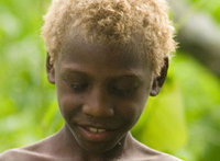 Single mutation makes Melanesians blond. 47140.jpeg