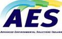 AES Raises Its 2009 Earnings