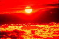 Heat in California kills 83 people