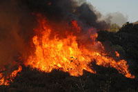 La Brea Fire Spreads Fast