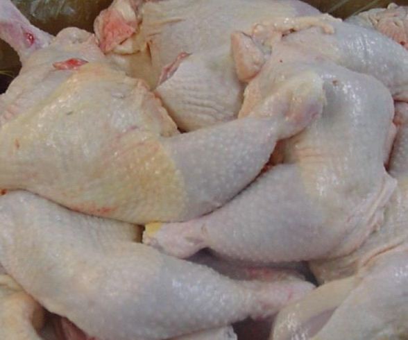 Bird flu kills over 20 million turkeys and chickens in US. Bird flu attacks US