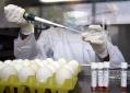 China sets up bird flu monitoring system to halt spread of bird flu