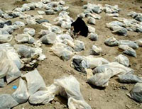 Twenty-two bodies found in mass grave near Baghdad