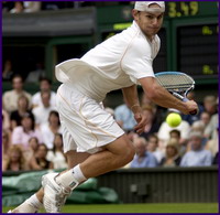 Andy Roddick cheers on U.S. at Davis Cup