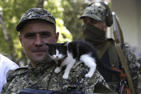 Donetsk militia ready to discuss truce with Kiev. 53197.jpeg