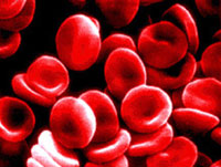 Scientists learn to convert blood groups to solve blood donor problem