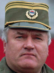 USA and Britain to hunt Mladic together