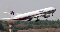 What happened to the Malaysian airliner?. 53214.jpeg