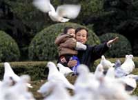 Taiwan conducts successful bird flu vaccine tests in animals; human trials next