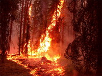 Dozen of wildfires engulf Southern California