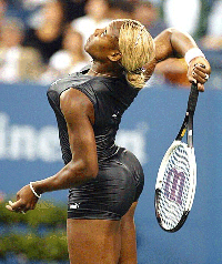 Serena Williams' pit bull Bambi bites security guard's buttocks