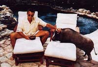George Clooney's beloved potbelly pig Max dies at age 19