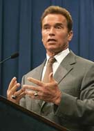 Schwarzenegger to make direct appeal to President Bush on levee funding