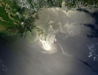 Oil spilt in Gulf of Mexico found on sea floor. 49249.jpeg