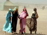 Western Sahara: France Blocks Human Rights