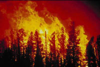 2400 Evacuated as California Wildfire Grows