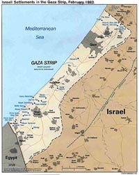 Israeli Gaza operation is a crime, Palestina says