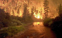 Wildfires rage through western America