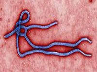 Ebola alert in Europe. 53281.jpeg