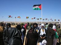 Saharawi activists kidnapped, tortured and threatened. 55285.jpeg