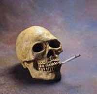 One cigarette may kill mankind