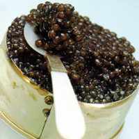 Wildlife officials try to beef up scrutiny of caviar quotas to save sturgeon