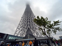 Tokyo named world's most expensive city for 2013. 49318.jpeg