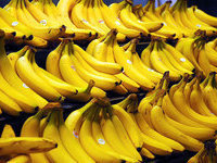 Bags of cocaine found in bags of bananas in Belgium. 49319.jpeg