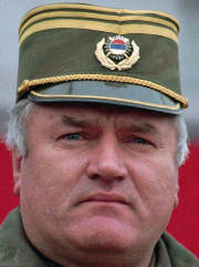Serbia's Prime Minister asks security chiefs why Mladic still free