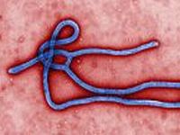 US Health Authorities: Ebola inevitable in USA. 53323.jpeg